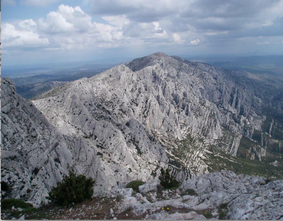 فيلا Sainte Victoire Le Cabanon Puyloubier المظهر الخارجي الصورة